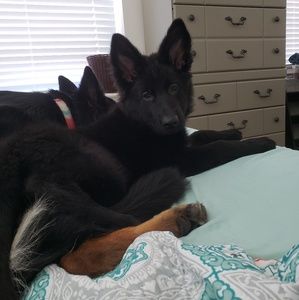 💥💥BUSY BUSY BUSY POSTING NEW ITEMS💥💥